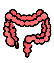 Exame Proctologico com Retossigmoidoscopia Rígida